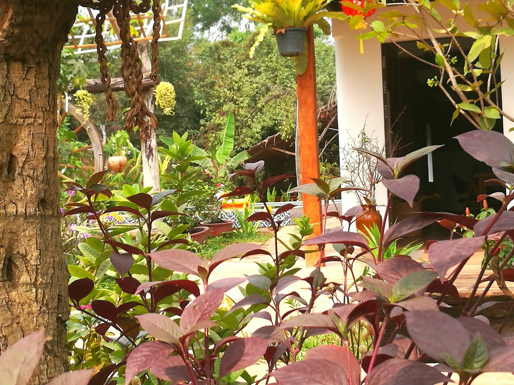Angkor Dino B&B Siem Reap Exteriör bild
